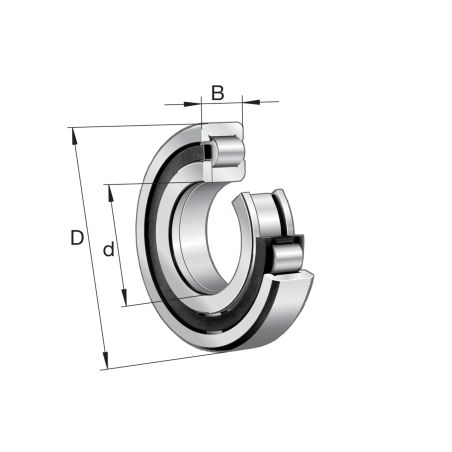 NUP238-E-M1