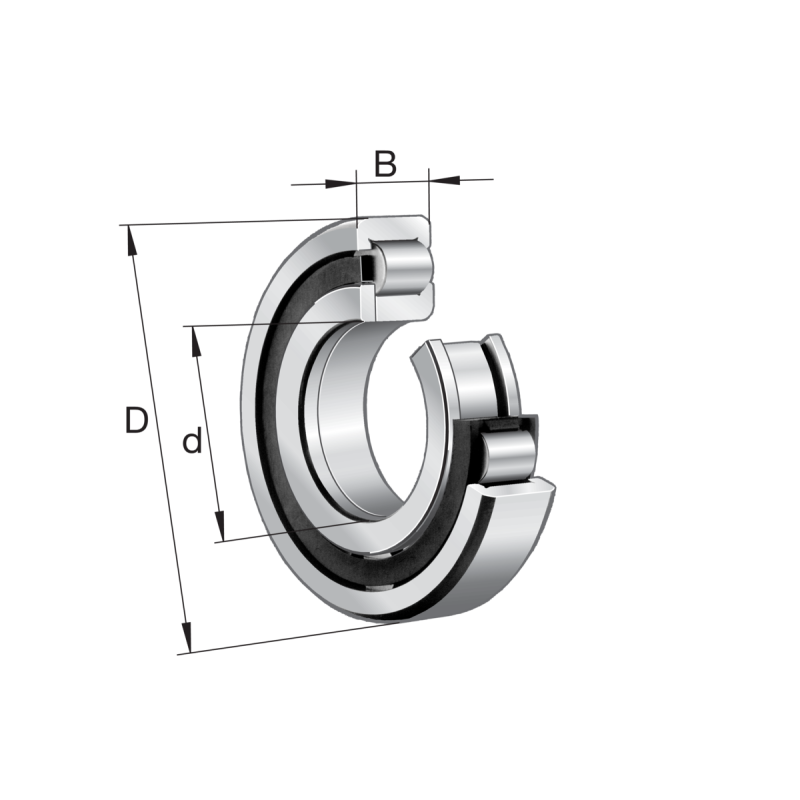 NUP306-E-XL-M1-C3