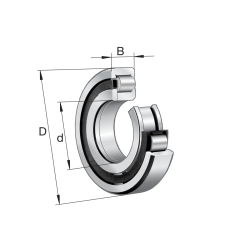 NUP318-E-XL-M1A-C3
