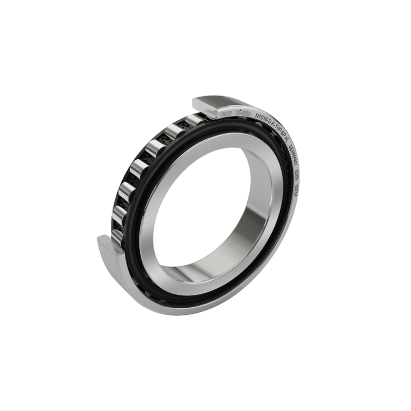 N1008-D-K-TVP-SP-T50EC-XL-C2