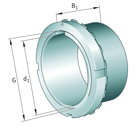 H206X100