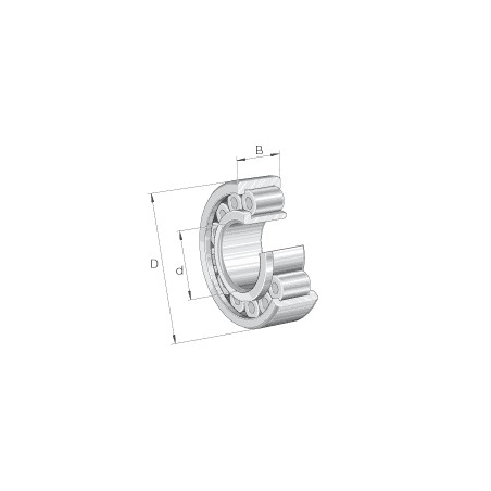 SL192324-TB-XL-BR-C3