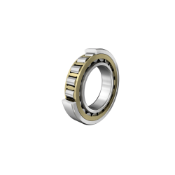 NU2213-E-XL-N1-MPAX-C3-H144 N1