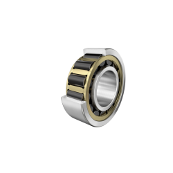 NJ2216-E-XL-MPAX-C5L/NA N1