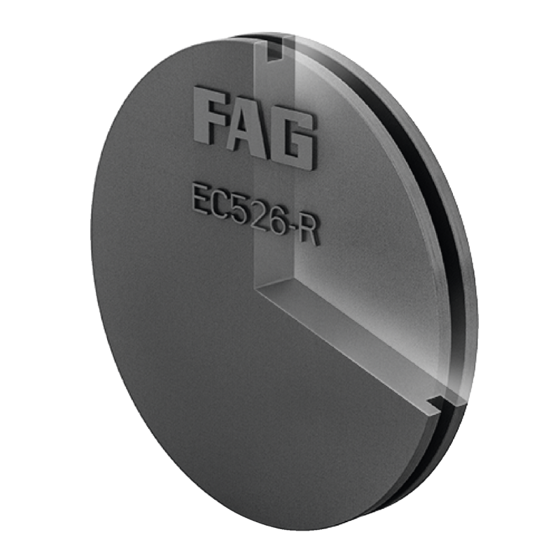 EC520-R N1