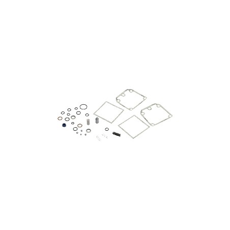 PUMP1000-4L.SPARE-KIT