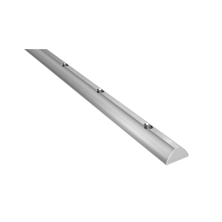 LEIS-M6/8X190-T-NUT-SB-ST N1