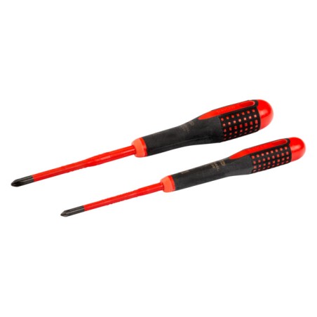Set 2 Destor. Ergo Ph1/2 Aislo