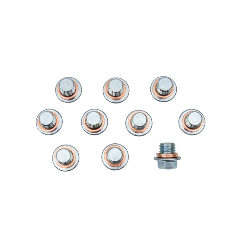 10 Nuts M17X1,5 + 20 Washers